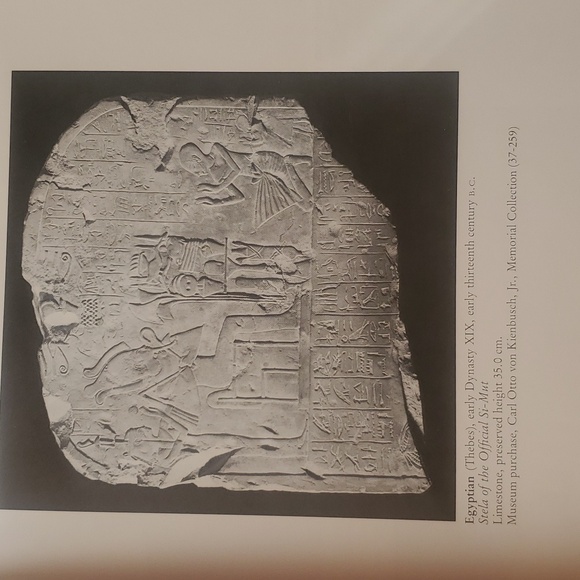 The Art Museum Princeton University Hardcover Book - Picture 5 of 16